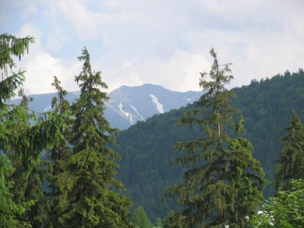 Willa Lesna Zakopane Exteriör bild